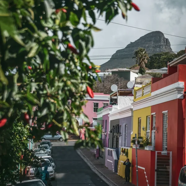 agnieszka-stankiewicz-3rKDjJtM5w4-unsplash