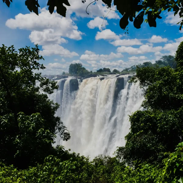 chris-boland-afGA-TbGNbA-unsplash