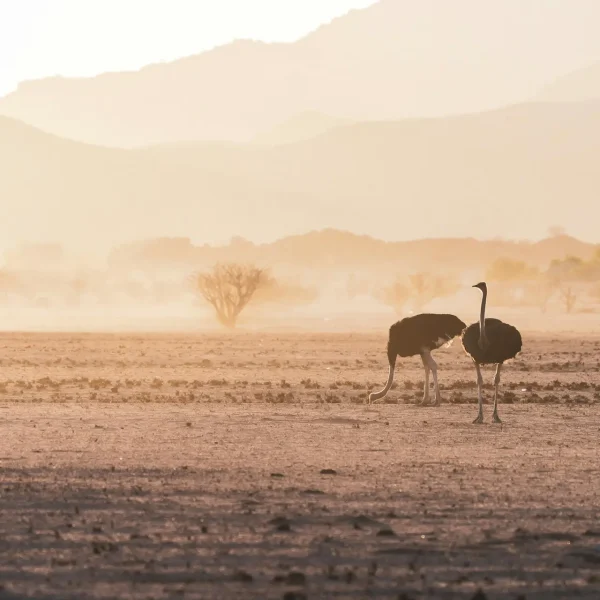 eelco-bohtlingk-6dhyiH6EVRg-unsplash