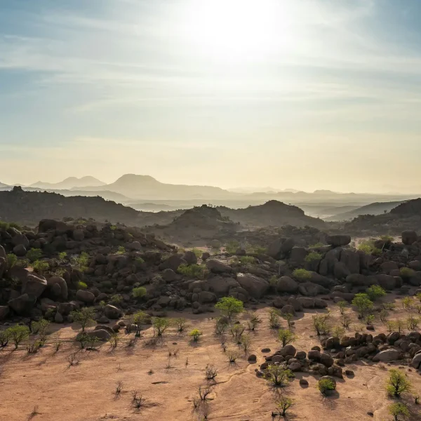 eelco-bohtlingk-WhWTv0wAOG0-unsplash