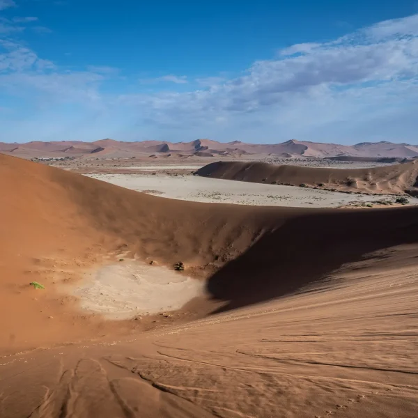 eelco-bohtlingk-zXkLUEmGBxQ-unsplash