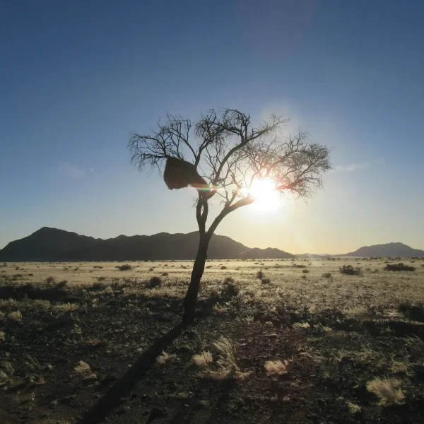 frank-0_8Zo9HH0ec-unsplash