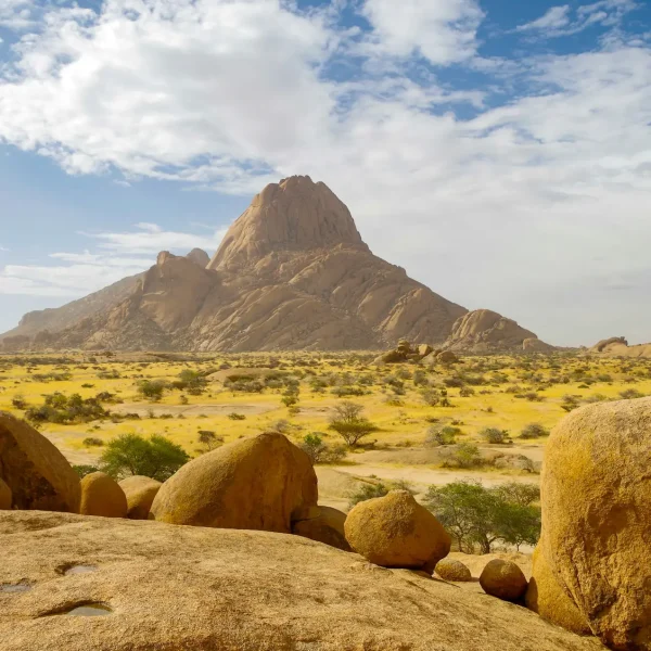 m_oros-5h9O46glEes-unsplash