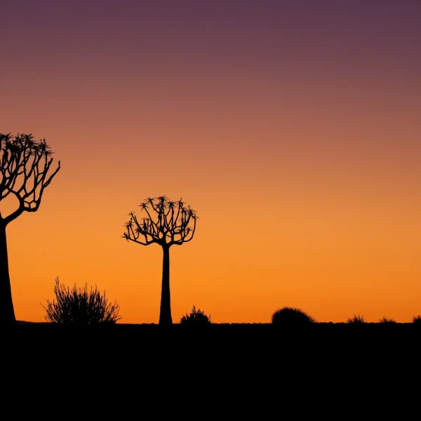 markus-bluthner-6VXZqOZnHsU-unsplash