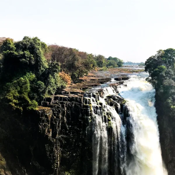 photo_2025-05-11_12-15-15