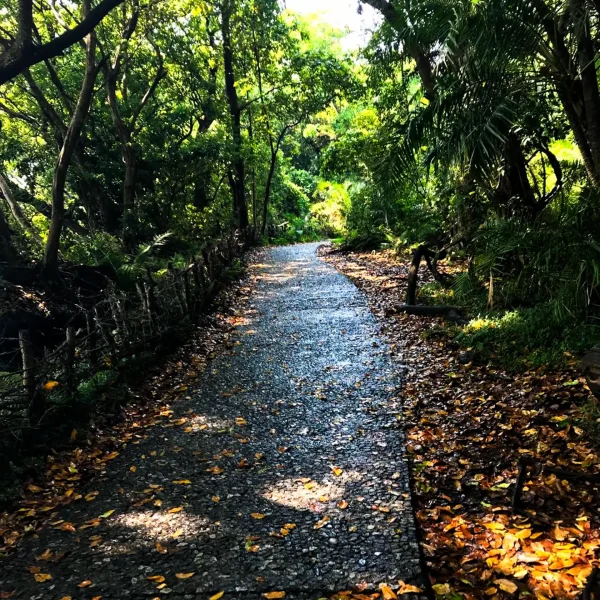 photo_2025-05-11_12-15-20