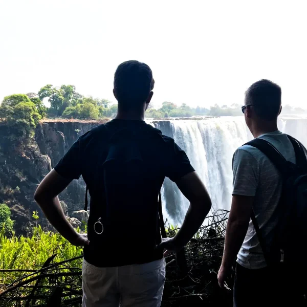 photo_2025-05-11_12-15-24