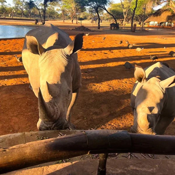 photo_2025-05-11_12-15-42