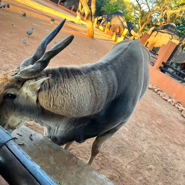 photo_2025-05-11_12-15-44