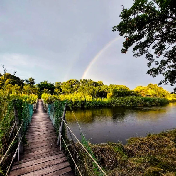 photo_2025-05-11_12-15-48