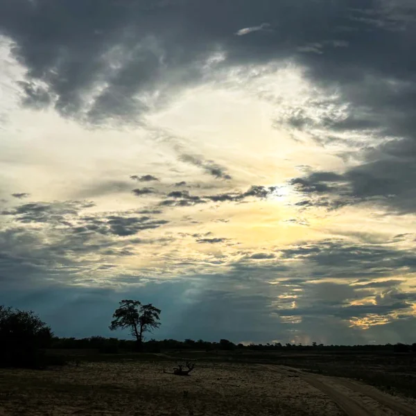 photo_2025-05-11_12-15-49