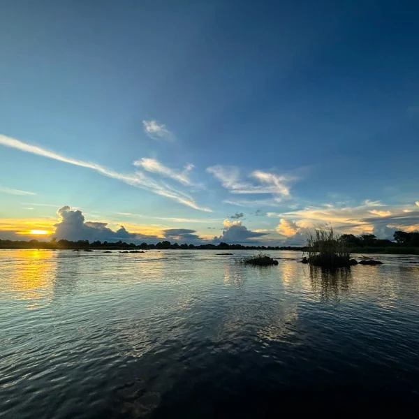 photo_2025-05-11_12-16-17