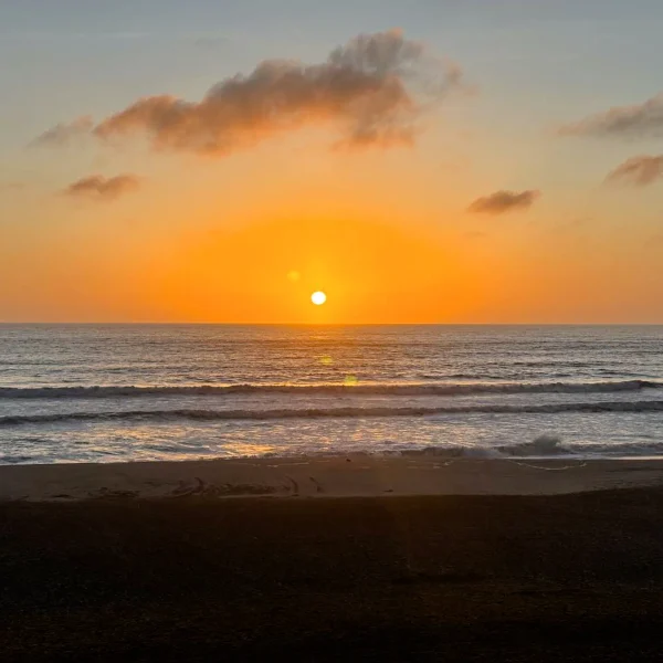 photo_2025-05-11_12-16-18