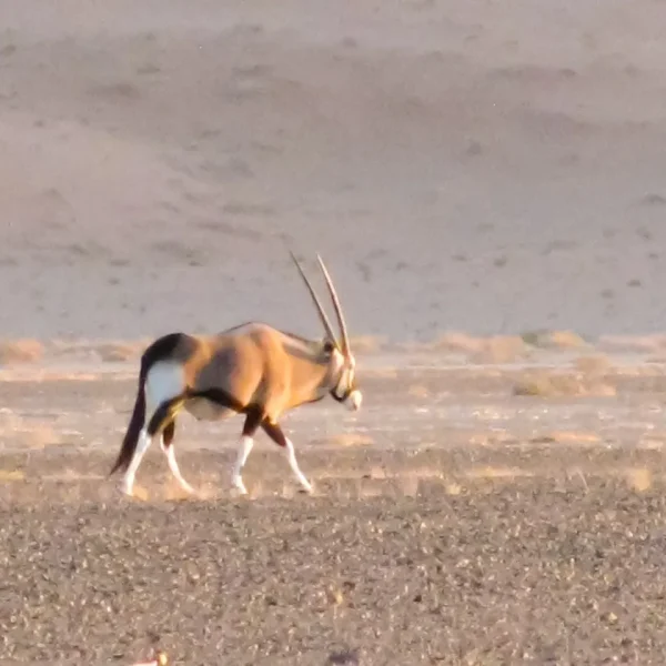 photo_2025-10-02_10-00-18