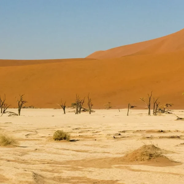 photo_2025-10-02_10-00-24