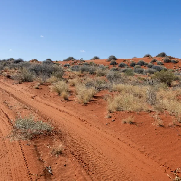 stephen-mabbs-JBALX7jZ0NQ-unsplash